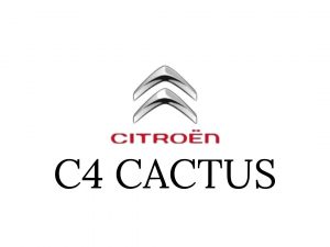 C4-Cactus